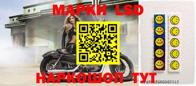 apvp Краснодар