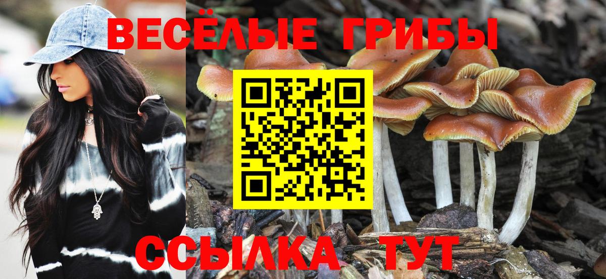 Кимры  Псилоцибиновые грибы Cubensis  Вход с VPN  магазин    Галлюциногенные грибы GOLDEN TEACHER 