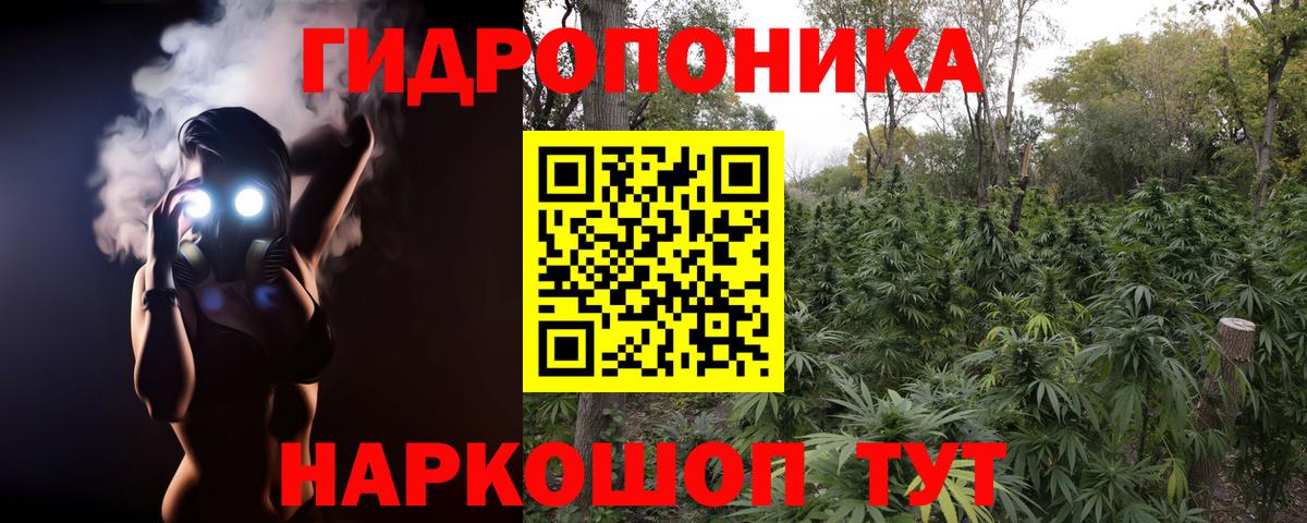 Каннабис гибрид  Бошки Шишки планчик  Кимры  Марихуана гибрид  Вход с VPN 